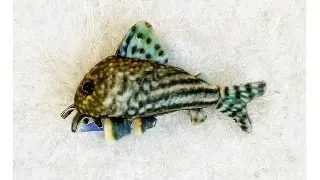 Jucarie plus GreenPleco peste Corydoras Sterbai cu ventuza 15cm