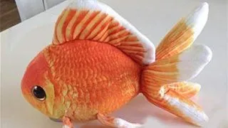 Jucarie plus GreenPleco peste Goldfish cu ventuza 31cm