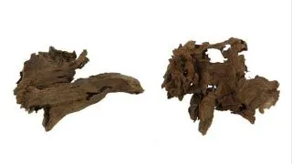 Radacina de mangrove Hobby XS 12-16 cm
