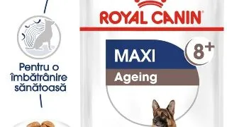 Royal Canin Maxi Ageing hrana umeda caine senior (in sos), 10 x 140 g