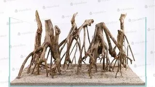 Radacina Aquadeco Talawa Wood 30-45 cm