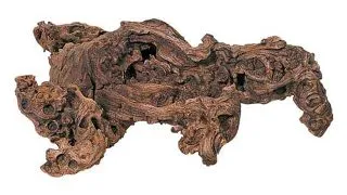 Radacina Hobby Savannah Wood XL +50cm