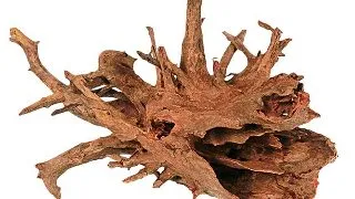 Radacina Corbo Wood S 30-40cm