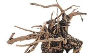 Radacina Fingerwood Shadow L