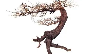 Decor acvariu WIO Bonsai Arboretum  L