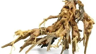 Lemn Octopus Wood Bonsai L