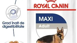 Royal Canin Maxi Adult hrana umeda caine (in sos), 10 x 140 g