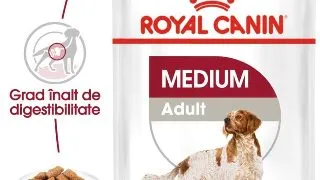 Royal Canin Medium Adult hrana umeda caine (in sos), 10 x 140 g