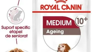 Royal Canin Medium Ageing hrana umeda caine senior (in sos), 10 x 140 g
