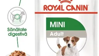 Royal Canin Mini Adult hrana umeda caine (in sos), 12 x 85 g