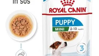 Royal Canin Mini Puppy hrana umeda caine junior (in sos), 12 x 85 g