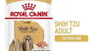 Royal Canin Shih Tzu Adult hrana umeda caine (pate), 12 x 85 g