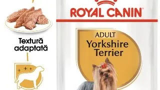 Royal Canin Yorkshire Terrier Adult hrana umeda caine (pate), 12 x 85 g