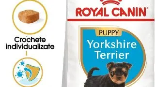 Royal Canin Yorkshire Puppy hrana uscata caine junior, 1.5 kg