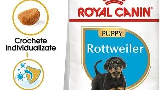 Royal Canin Rottweiler Puppy hrana uscata caine junior, 12 kg