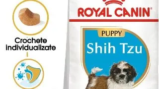 Royal Canin Shih Tzu Puppy hrana uscata caine junior, 1.5 kg