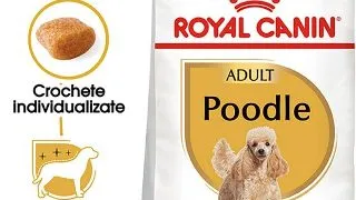 Royal Canin Poodle Adult hrana uscata caine, 1.5 kg