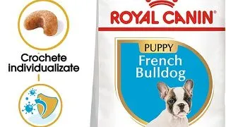 Royal Canin French Bulldog Puppy hrana uscata caine junior, 3 kg
