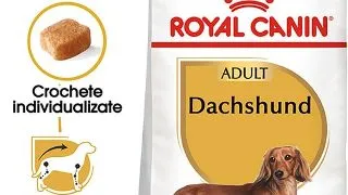 Royal Canin Dachshund Adult hrana uscata caine Teckel, 1.5 kg