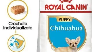 Royal Canin Chihuahua Puppy hrana uscata caine junior, 1.5 kg