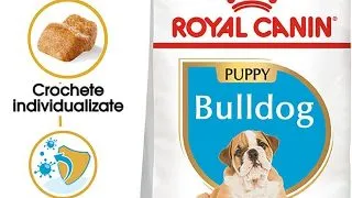 Royal Canin Bulldog Puppy hrana uscata caine junior, 3 kg
