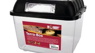 Cutie de transport Hobby Terra Box 2