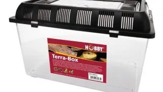Cutie de transport Hobby Terra Box3-32,5x22x21cm