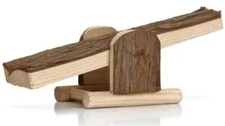 Balansoar pentru rozatoare Beeztees Forest 22x8.5x7cm