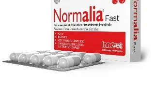 Normalia Fast, 10 capsule