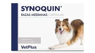 Synoquin Caine Mediu (10-25kg), 30 capsule, (Data expirare: 30.07.2026)