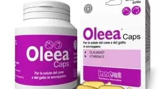 Oleea, 60 capsule