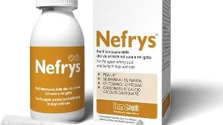 Nefrys Solutie, 100 ml