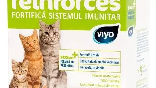 Viyo Reinforces Pisica