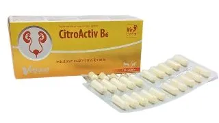 CitroActiv B6 capsule