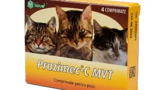 Prazimec Pisica, 4 tablete