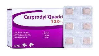Carprodyl Quadri 120mg, 1 tableta