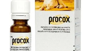 Procox Caini, 7.5 ml