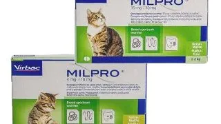 Milpro Pisica, 1 tableta