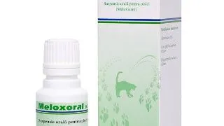 Meloxoral Solutie Orala Pisici, 0.5mg/ml, 25ml