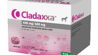 Cladaxxa 400mg / 100mg. 6 comprimate
