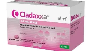 Cladaxxa, 10 comprimate masticabile