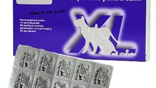 Exitel Plus XL Caine, 1 tableta