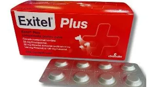 Exitel Plus Caine, 1 tableta
