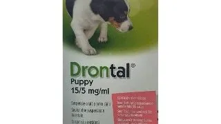 Drontal Puppy, 50 ml