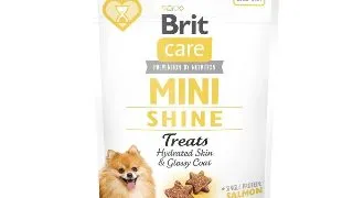 BRIT CARE mini shine