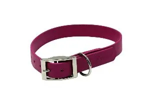 Zgarda Clasica BioThane M Pupster - Magenta