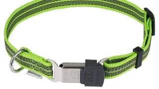 Zgarda nailon Sprenger neon reflectorizanta - 40 - 55 cm - Verde