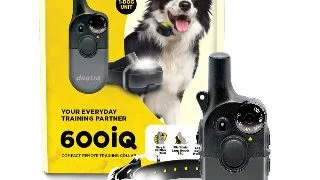 Zgarda electronica 600IQ - 2 caini