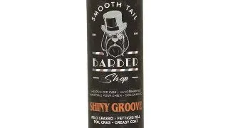 Sampon pentru caini Croci Barbershop Shiny Groove, 200 ml