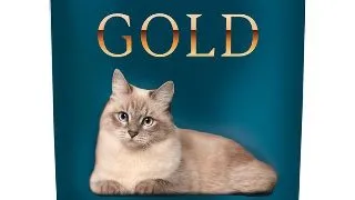 Hrana umeda pentru pisici Perfecto Cat Gold, Adult, pui, 800g